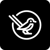 Logo 21